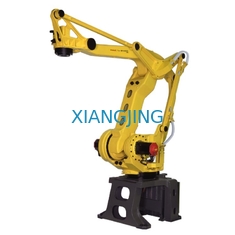 Το Fanuc χρησιμοποίησε το βιομηχανικό ρομπότ για Palletizer με τη ρομποτική μηχανή παλετών βραχιόνων 4 άξονα